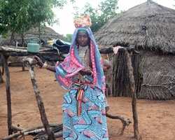 Strategic Planning &amp; Implementation